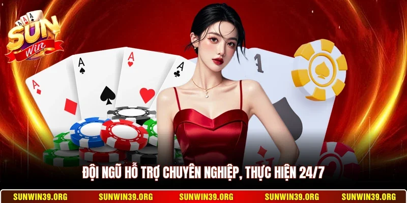 Đội ngũ hỗ trợ chuyên nghiệp, thực hiện 24/7